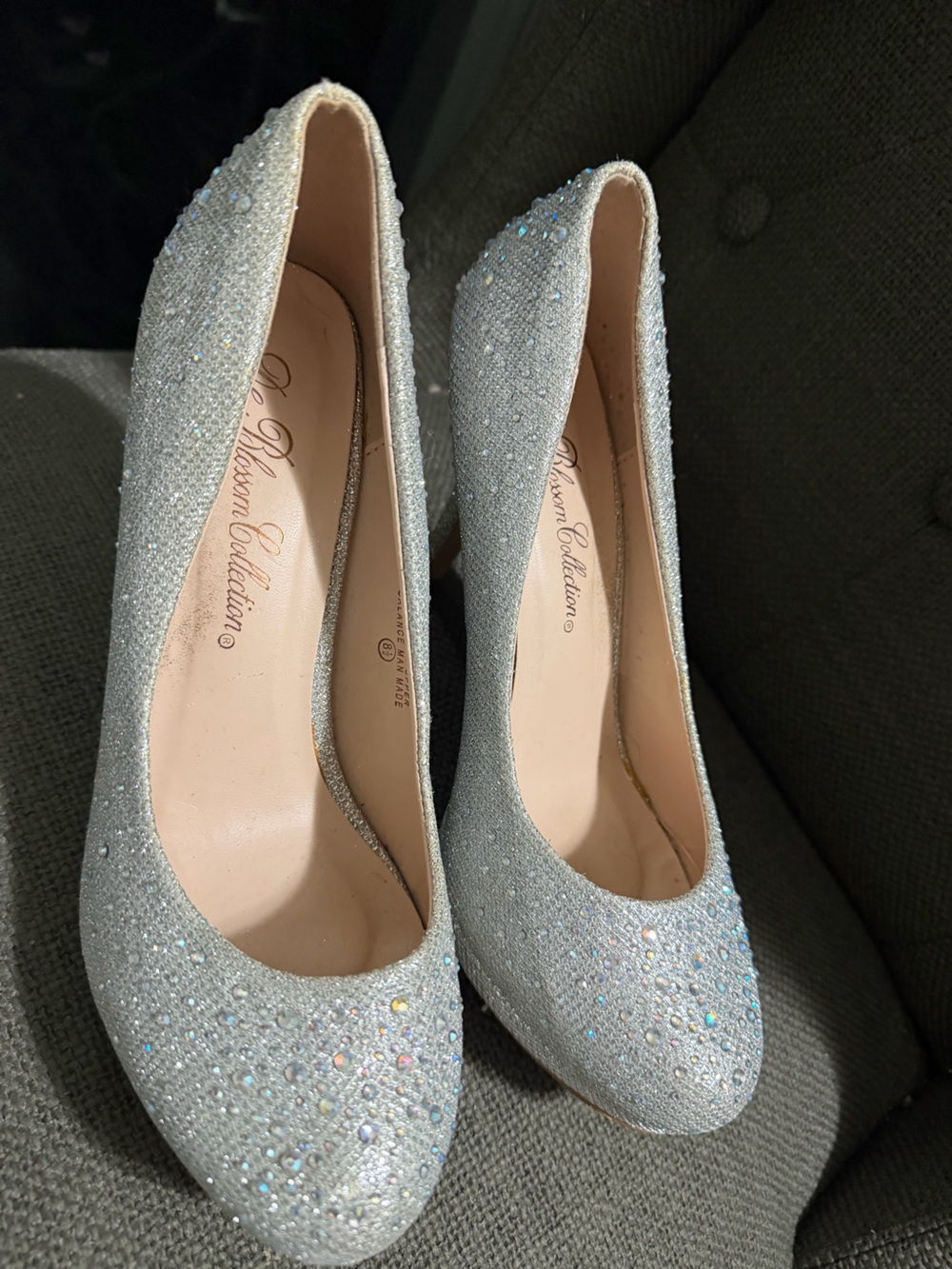Badgley Mischka Iridescent Silver Crystal Pumps